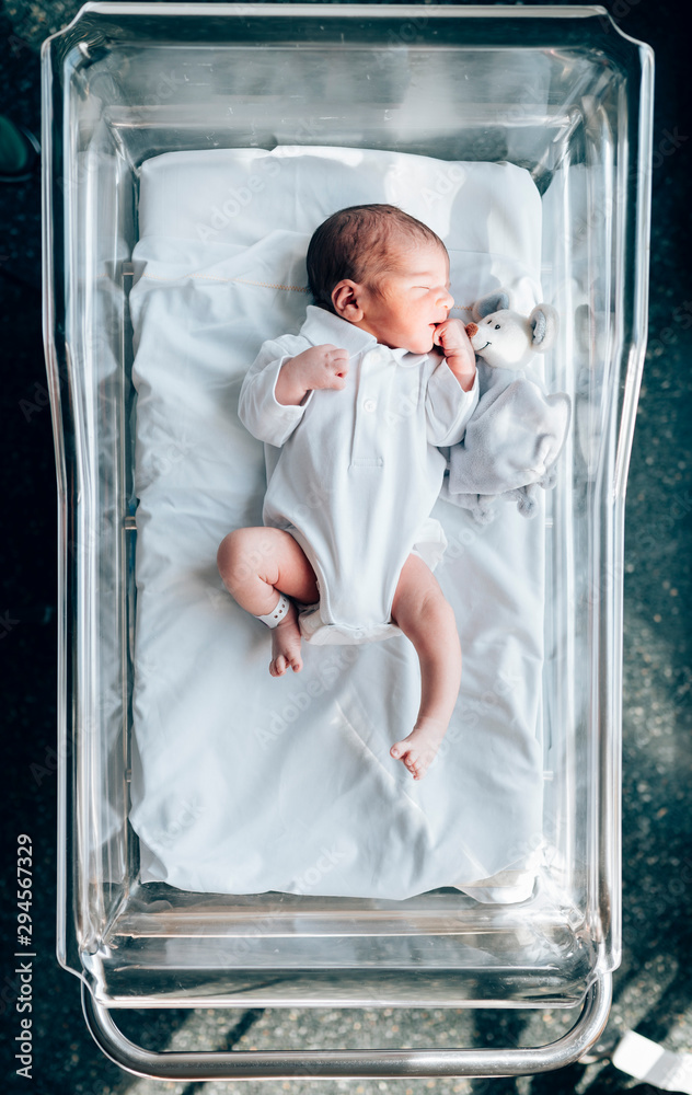 A newly-born baby lies in a bed with a stuffed animal